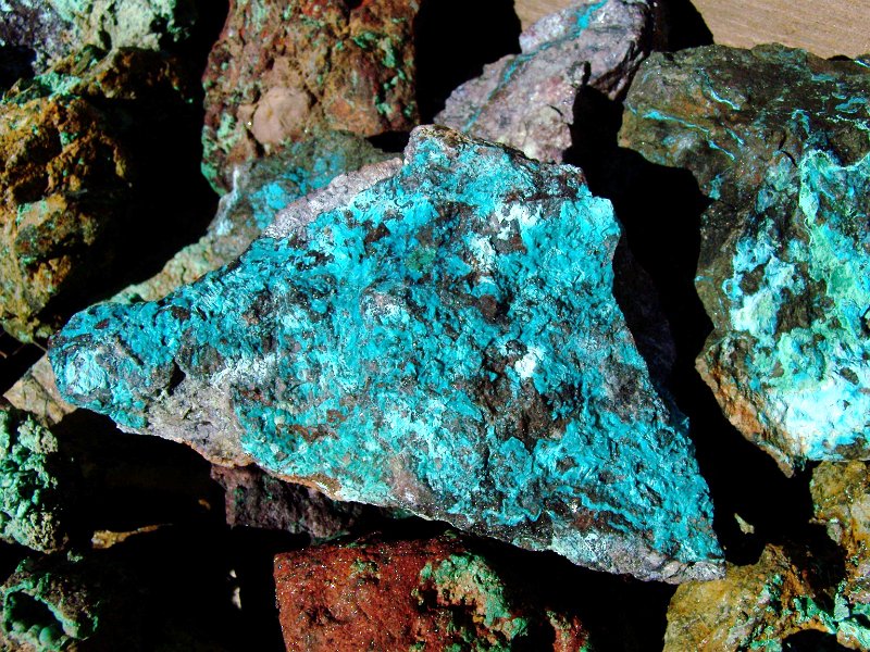 Close up of the find..JPG